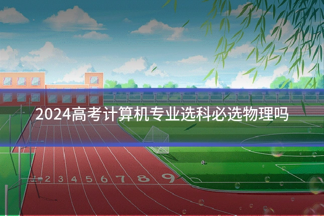 2024高考计算机专业选科必选物理吗