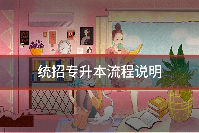 统招专升本流程说明