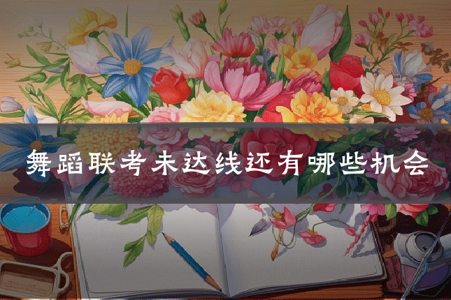 舞蹈联考未达线还有哪些机会