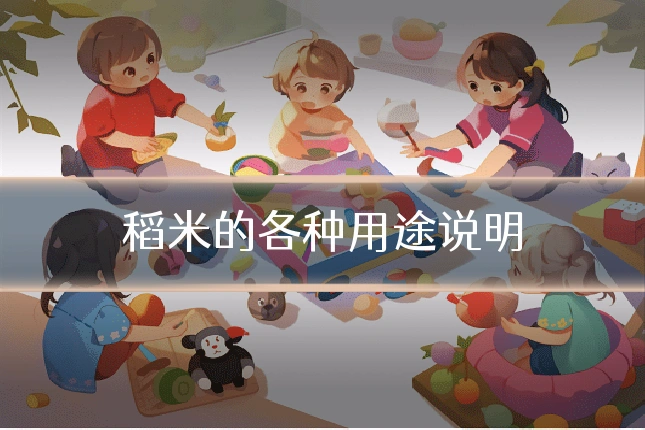稻米的各种用途说明