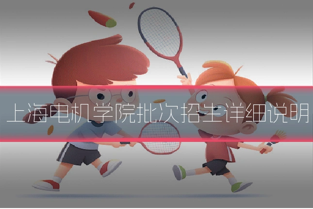 上海电机学院批次招生详细说明