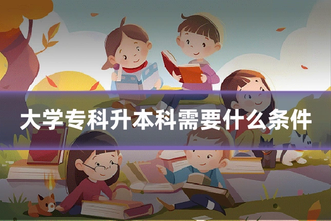 大学专科升本科需要什么条件