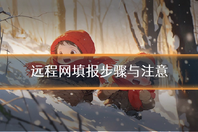 远程网填报步骤与注意