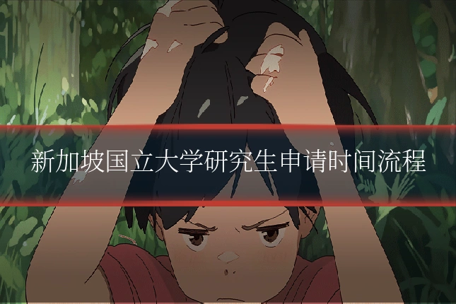 新加坡国立大学研究生申请时间流程