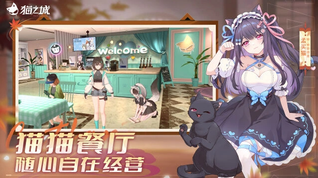 卡组编成