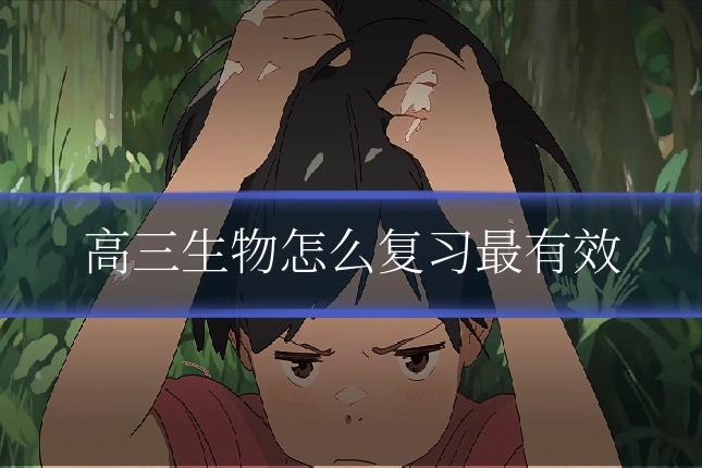 高三生物怎么复习最有效
