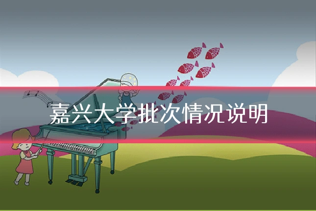 嘉兴大学批次情况说明