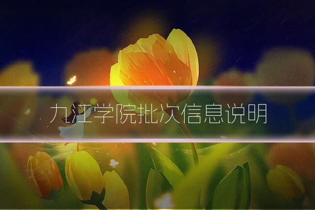 九江学院批次信息说明