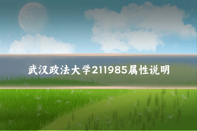 武汉政法大学211985属性说明