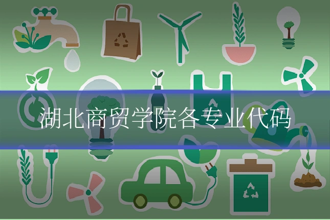 湖北商贸学院各专业代码
