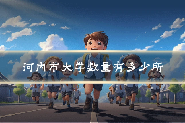 河内市大学数量有多少所