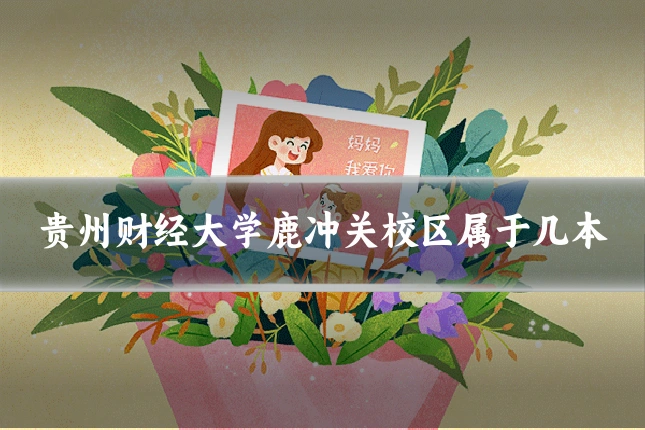 贵州财经大学鹿冲关校区属于几本
