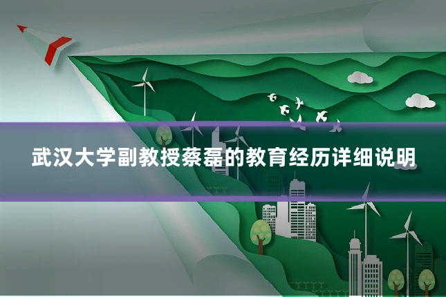 武汉大学副教授蔡磊的教育经历详细说明