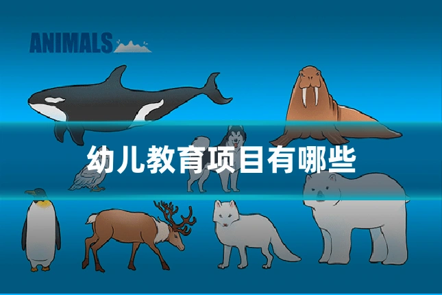 幼儿教育项目有哪些