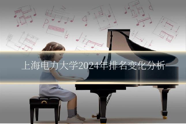 上海电力大学2024年排名变化分析