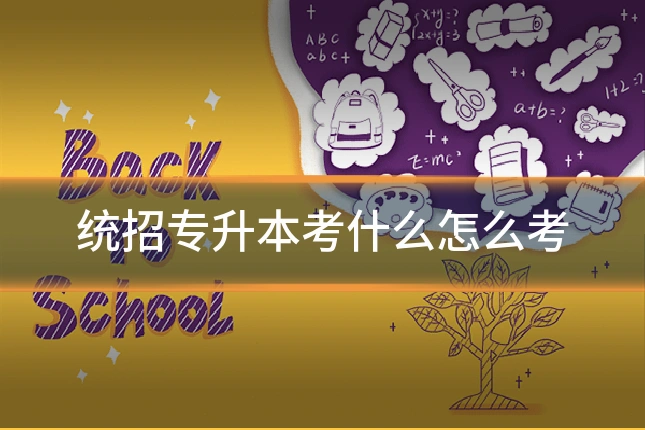 统招专升本考什么怎么考