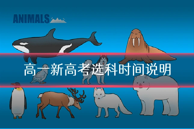 高一新高考选科时间说明