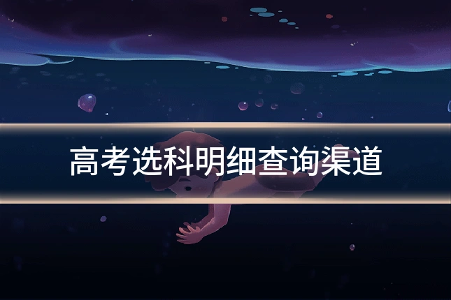 高考选科明细查询渠道