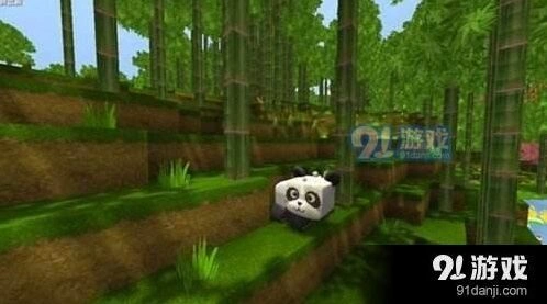 迷你世界熊猫能不能繁殖教学