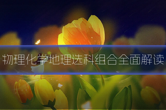 物理化学地理选科组合全面解读