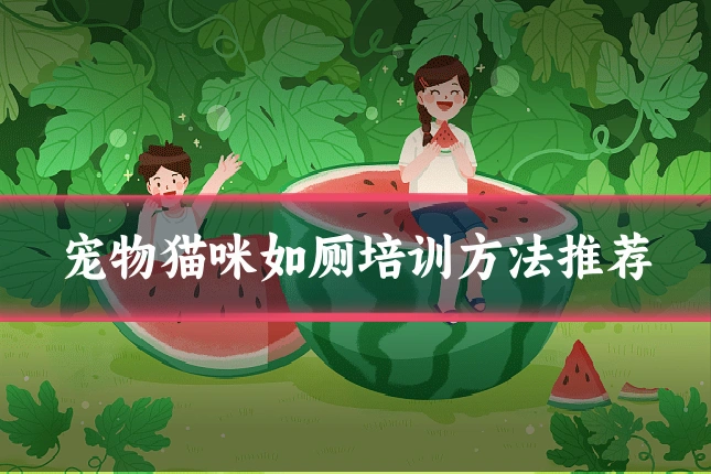 宠物猫咪如厕培训方法推荐