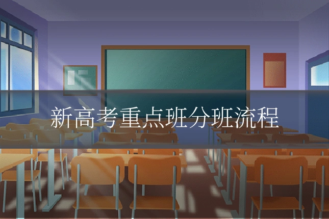 新高考重点班分班流程