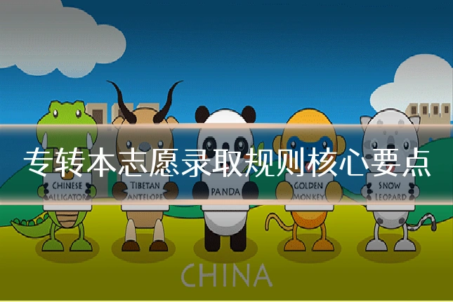 专转本志愿录取规则核心要点