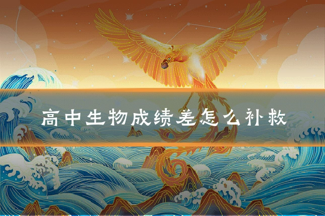 高中生物成绩差怎么补救
