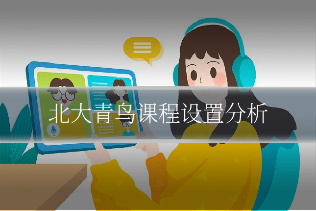 北大青鸟课程设置分析