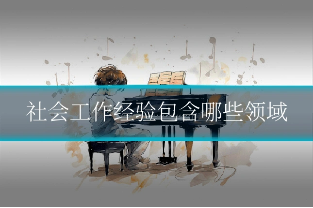 社会工作经验包含哪些领域