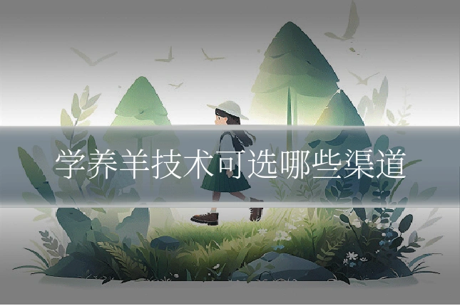 学养羊技术可选哪些渠道
