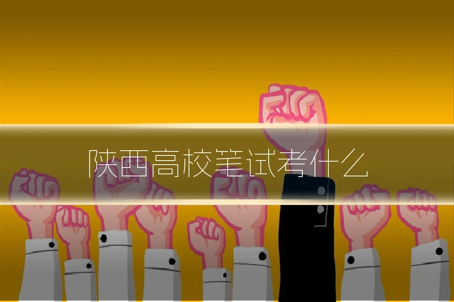 陕西高校笔试考什么