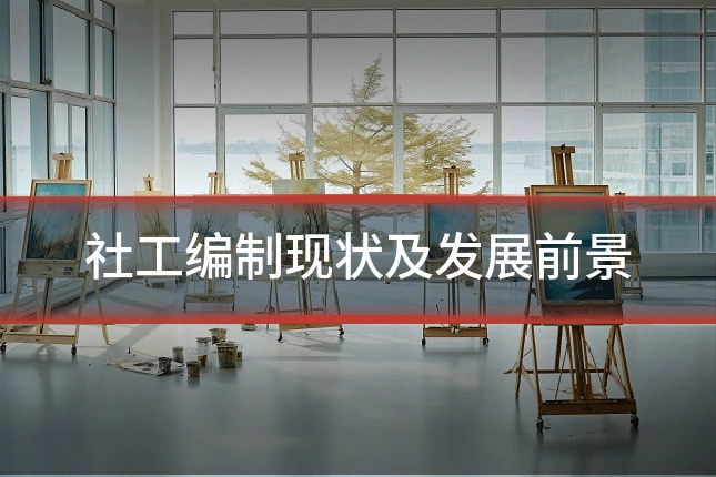 社工编制现状及发展前景