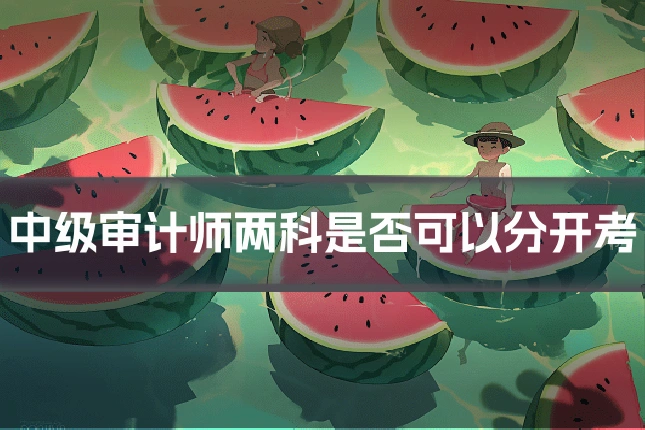 中级审计师两科是否可以分开考