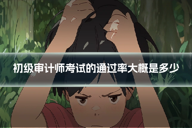 初级审计师考试的通过率大概是多少