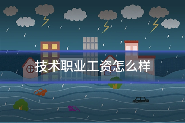 技术职业工资怎么样
