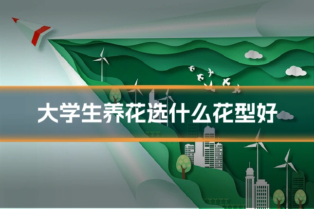 大学生养花选什么花型好