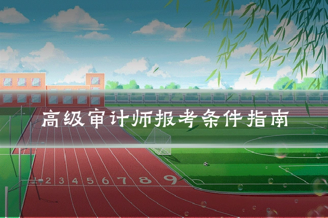 高级审计师报考条件指南