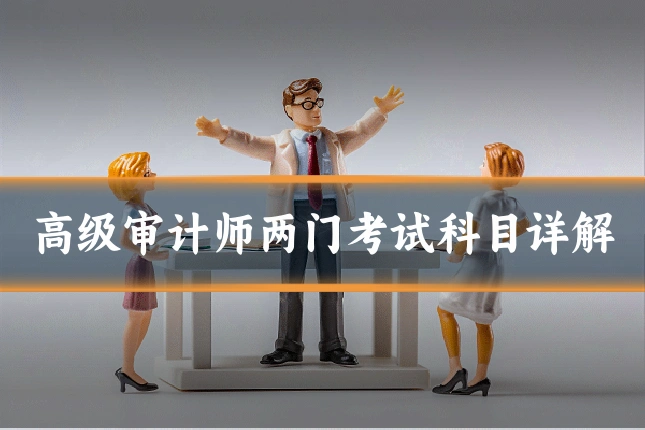 高级审计师两门考试科目详解