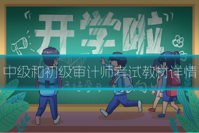 中级和初级审计师考试教材详情