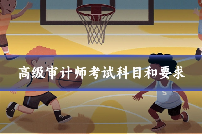 高级审计师考试科目和要求