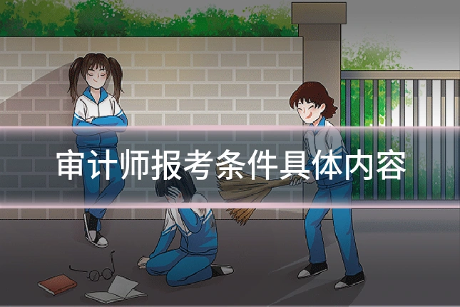 审计师报考条件具体内容