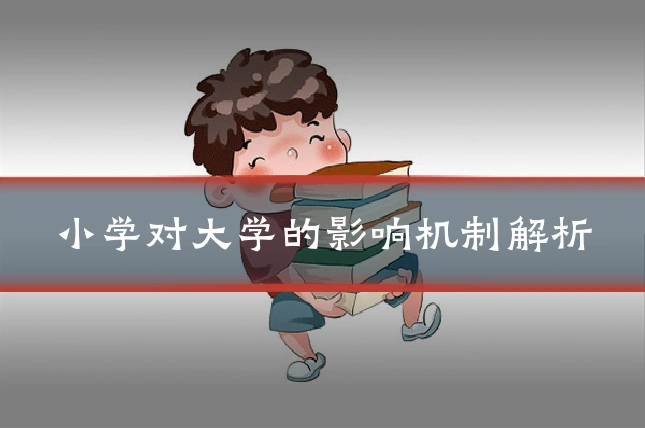 小学对大学的影响机制解析
