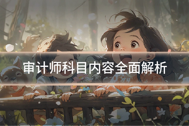 审计师科目内容全面解析