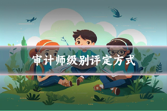 审计师级别评定方式