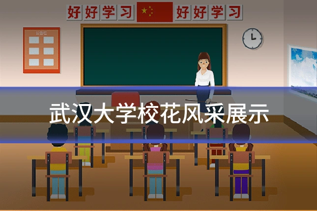 武汉大学校花风采展示