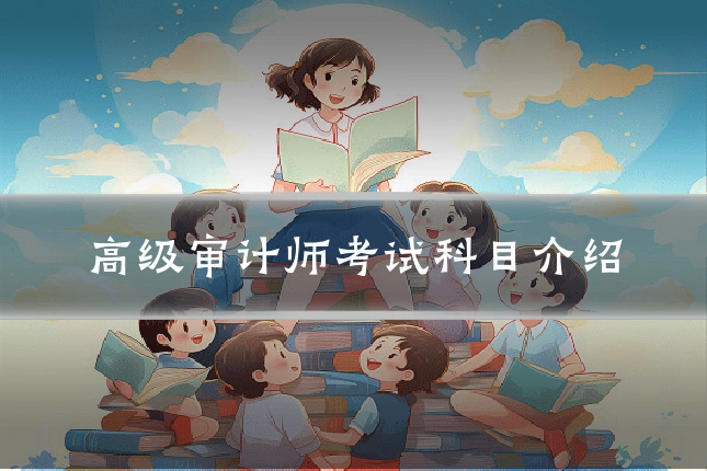 高级审计师考试科目介绍