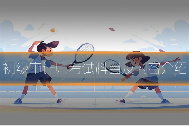初级审计师考试科目及内容介绍