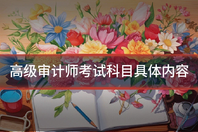 高级审计师考试科目具体内容