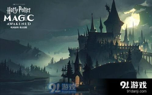 哈利波特魔法觉醒曼德拉草拼图详细位置分享